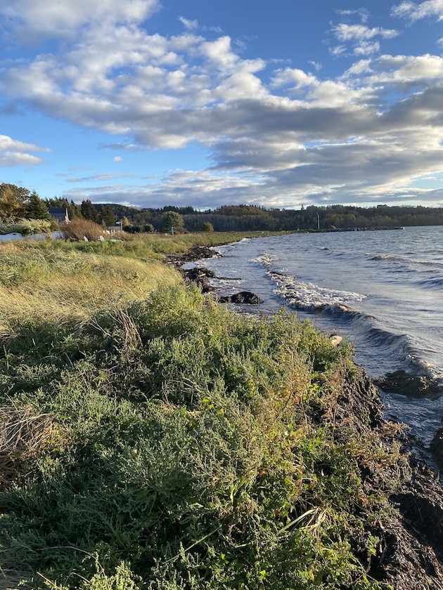 ๐oto de la grรจve prise en octobre 2025 ร Riviรจre-3-Pistoles